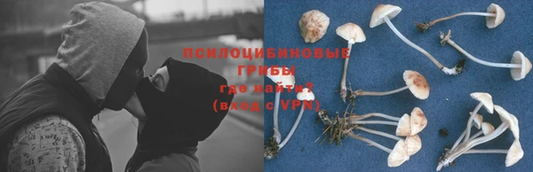 дурь Абаза