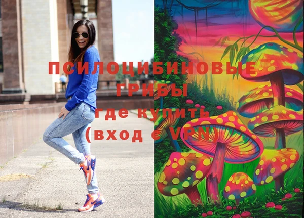дурь Абаза