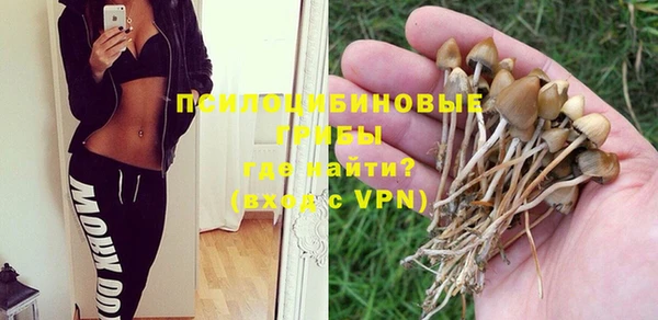 мет Алексин